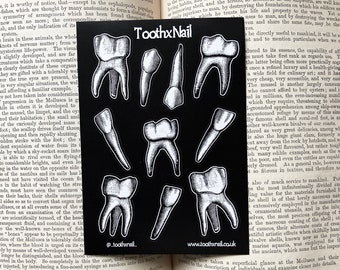 Party bag set of 10 x Teeth sticker sheet - Wisdom Tooth, Spooky, kids parties, party favours, childrens, Creepy, Halloween, Horror, Witchy