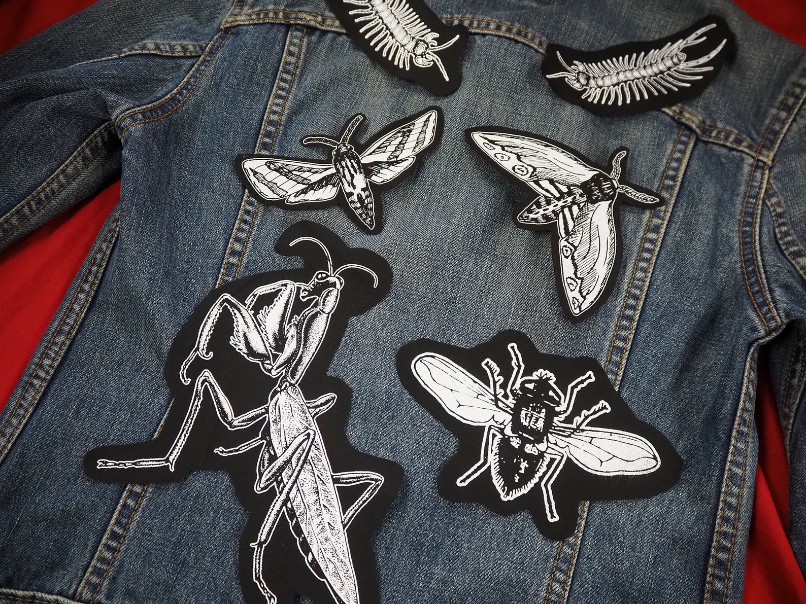 Insects Patch Set: Screen Printed Cotton Sew on Patches for Jacket ...