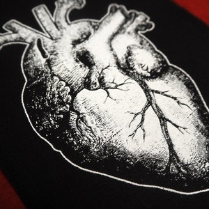 May include: A black and white anatomical illustration of a human heart. The heart is depicted in detail, showing the chambers, valves, and blood vessels.