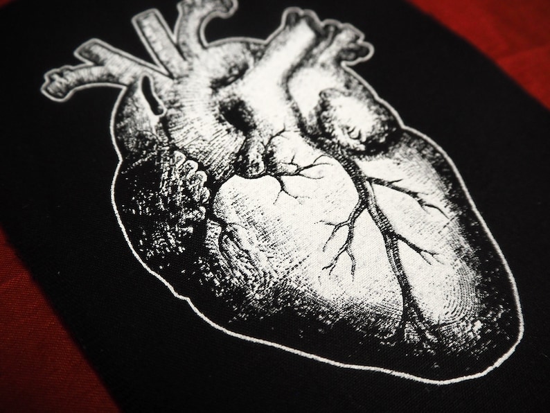 May include: A black and white anatomical illustration of a human heart. The heart is depicted in detail, showing the chambers, valves, and blood vessels.