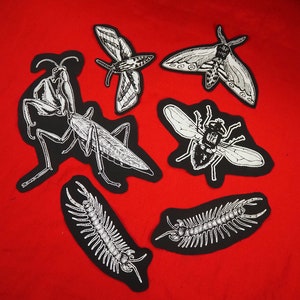 Peut inclure: Cinq patchs thermocollants noirs avec des motifs d'insectes blancs. Les patchs comprennent une mante religieuse, un papillon de nuit, une mouche et deux mille-pattes.