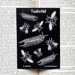 Könnte beinhalten: Schwarzer und weißer Aufkleberbogen mit Illustrationen von Bienen, Tausendfüßlern und dem Text "ToothxNail".