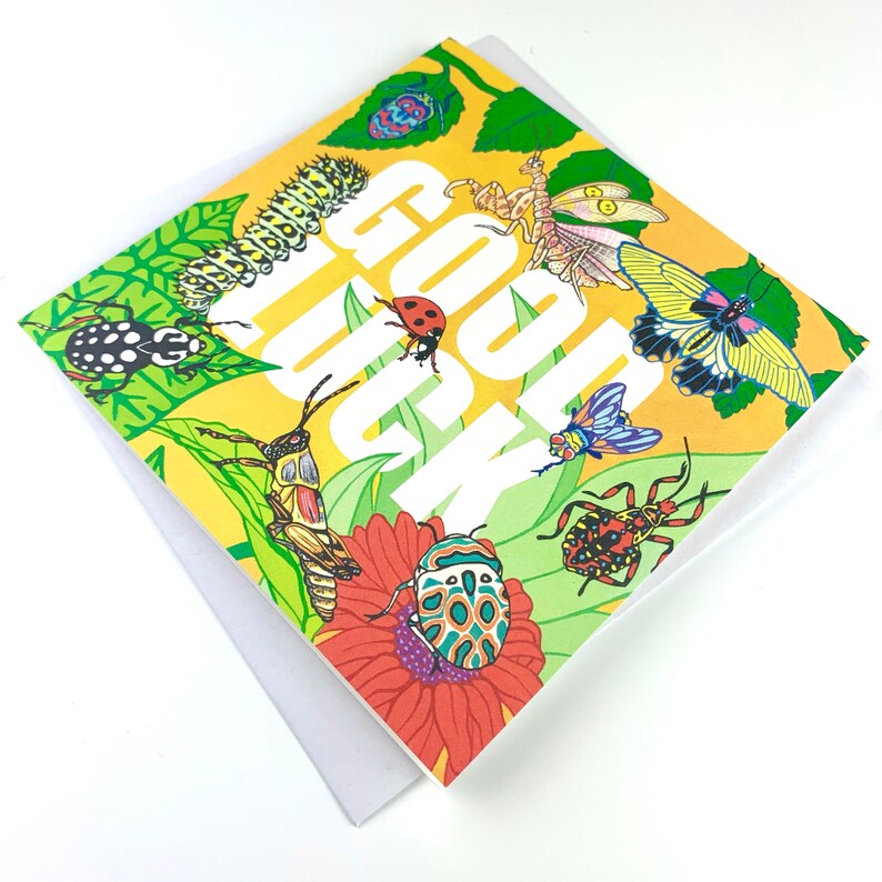 Illustrated Insects Good Luck Card Etsy