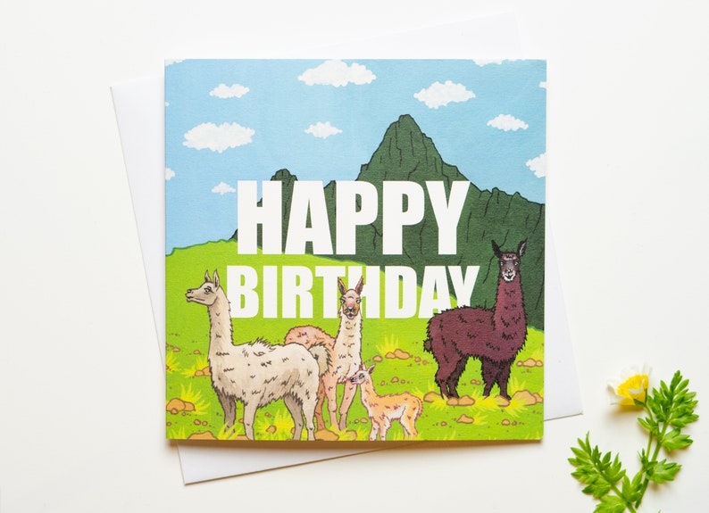 Illustrated Llama Happy Birthday Card For her For him Animals Birthday Card image 1