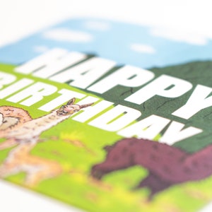 Illustrated Llama Happy Birthday Card For her For him Animals Birthday Card image 3