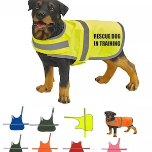 Op de afbeelding: Een Rottweiler-hond draagt een felgele vest met reflecterende strepen en de tekst "RESCUE DOG IN TRAINING". Extra vesten in verschillende kleuren worden hieronder weergegeven, waaronder blauw, groen, oranje en roze.