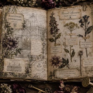 May include: An open book with aged, sepia-toned pages featuring botanical illustrations and text. The left page shows a greenhouse sketch labeled Blackthorn Conservatory. The right page displays pressed specimens with labels like Pressed Specimens.