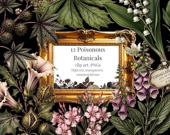 Poisonous Botanical Clip Art PNG Bundle,Gothic Victorian Poison Plants, Dark Academia, Cabinet of Curiosities, Commercial Use