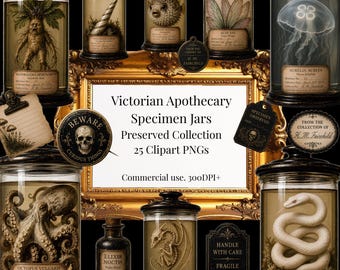 Victorian Apothecary Specimen Jars Clip Art PNG Bundle. Preserved Collection. Cabinet of Curiosities. Gothic Museum.