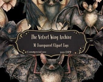 The Velvet Wing Archive ,Vintage Bat Clipart PNG Bundle. Gothic Bat Illustrations. Dark Academia, Junk Journal Graphics