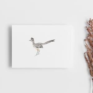Peut inclure: Une peinture &agrave; l'aquarelle d'un oiseau coureur des routes sur un fond blanc. L'oiseau est repr&eacute;sent&eacute; debout, la t&ecirc;te tourn&eacute;e vers la gauche. L'oiseau est brun et gris avec une longue queue et une cr&ecirc;te sur la t&ecirc;te.