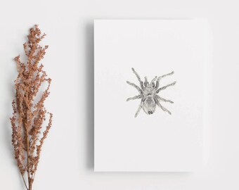 Tarantula Art Print Card: New Mexico Spider Halloween Card