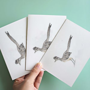 Peut inclure: Trois cartes blanches avec une illustration aquarelle d'un oiseau coureur des routes sur chaque carte. L'oiseau est repr&eacute;sent&eacute; en vol, les ailes d&eacute;ploy&eacute;es.