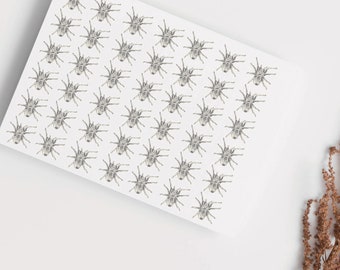 Tarantula Spider Blank Card: New Mexico Art Print, Halloween Card