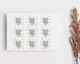 Large Tarantula Spider Pattern / Halloween blank greeting card