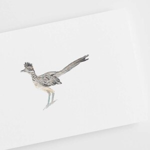 Peut inclure: Une peinture &agrave; l'aquarelle d'un coureur des routes sur fond blanc. L'oiseau est repr&eacute;sent&eacute; dans un cama&iuml;eu de brun clair et de gris, avec une longue queue et une cr&ecirc;te distinctive sur la t&ecirc;te.