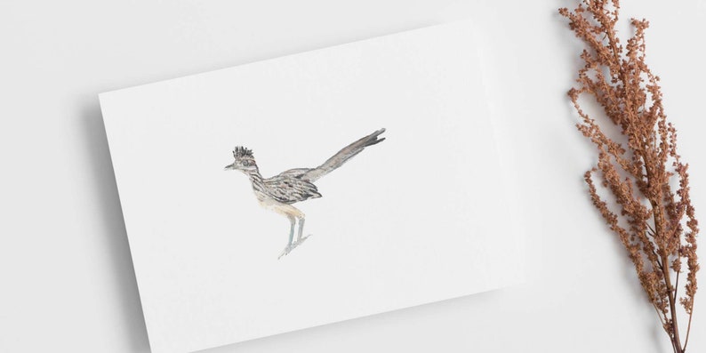 Peut inclure: Une peinture &agrave; l'aquarelle d'un coureur des routes sur fond blanc. L'oiseau est repr&eacute;sent&eacute; dans un cama&iuml;eu de brun clair et de gris, avec une longue queue et une cr&ecirc;te distinctive sur la t&ecirc;te.