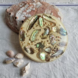 May include: A round, cream-colored decorative piece with iridescent shell fragments and gold flakes, the word "ALASKA" is visible. A large, textured shell is behind it, with several smaller shells scattered around.