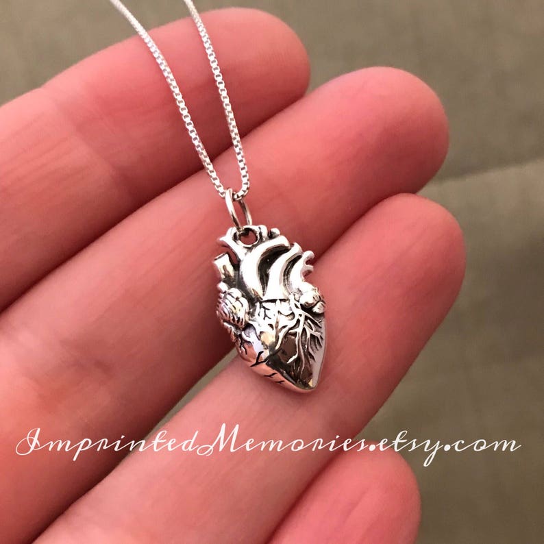 Anatomical Heart Necklace Sterling Silver Realistic Heart Etsy