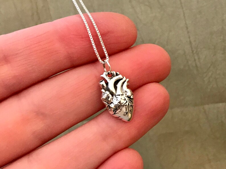 Anatomical Heart Necklace Sterling Silver Realistic Heart Etsy
