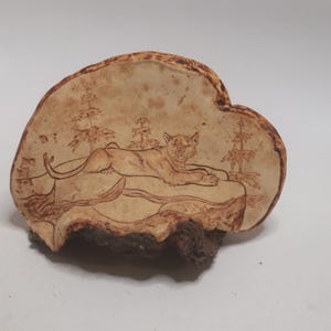 Fungus Specimen Folk Art - Signed De Mars - Mountain Lion in Repose - Bracket Fungus - Birch Bracket Fungus - Shelf Mushroom - Cabin Decor