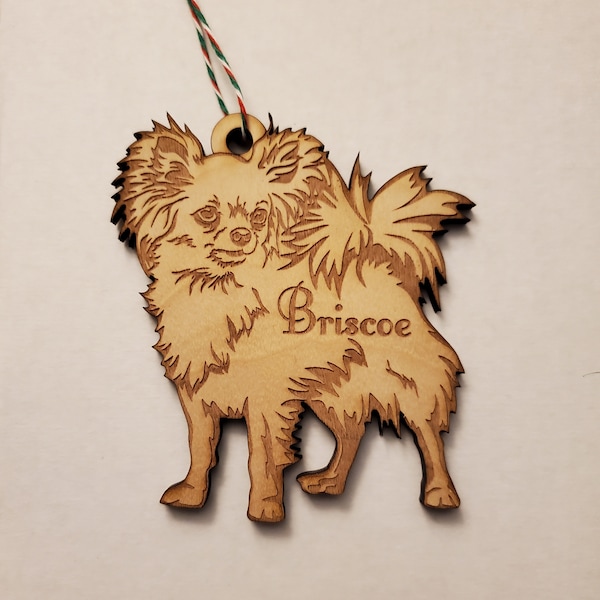 Long Hair Chihuahua Etsy