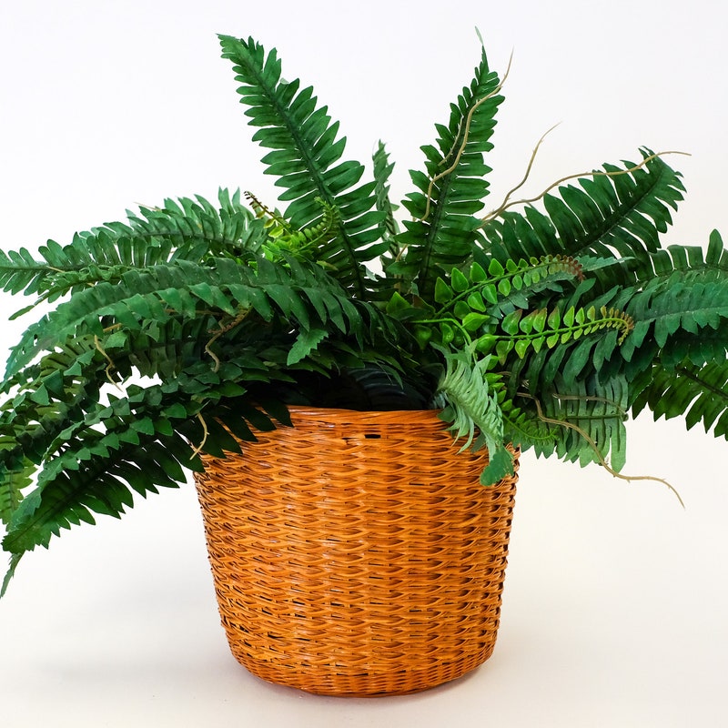 Wicker Planter Etsy