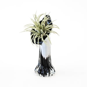 Black and White Jack in the Pulpit Calla Lily Murano Glass Vase