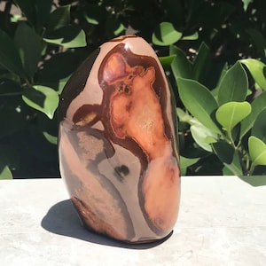 Abstract Patterned Polychrome Jasper Freeform