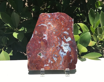 Moss Agate Slab