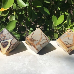 Cubo settario: minerale di aragonite, calcite e calcare dello Utah