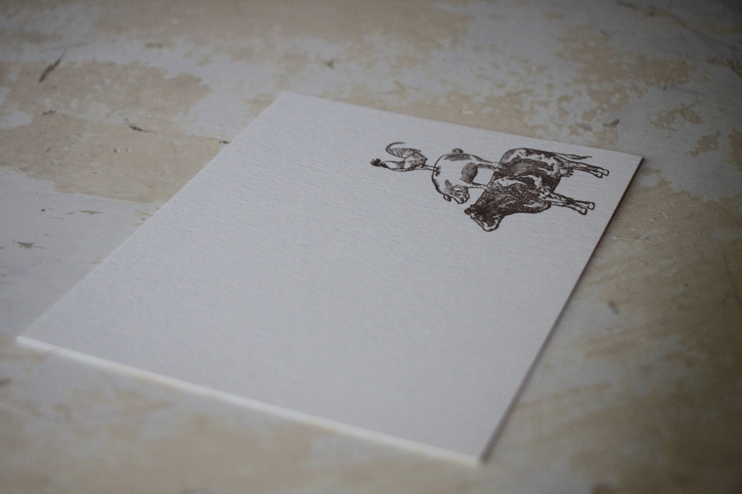 Farm Note Card, Cow Note Card, Pig Note Card, Chicken Note Card, Farm ...