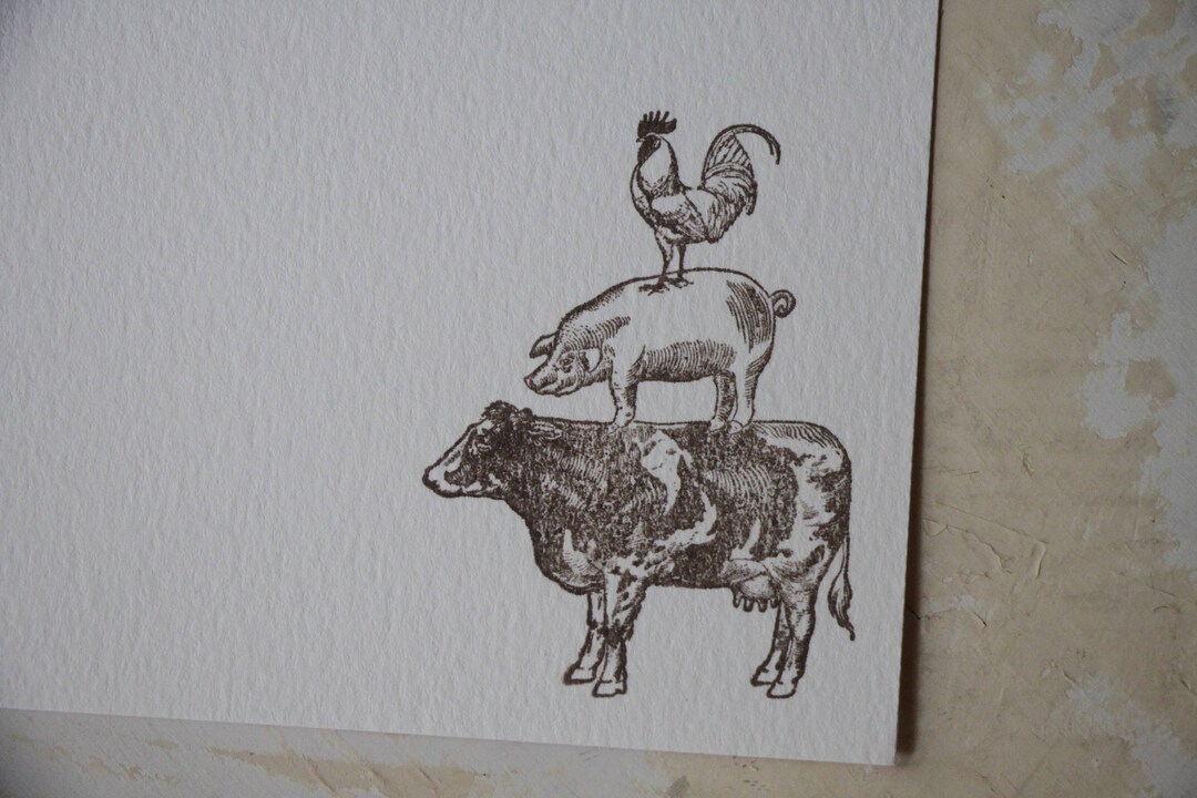 Farm Note Card, Cow Note Card, Pig Note Card, Chicken Note Card, Farm ...
