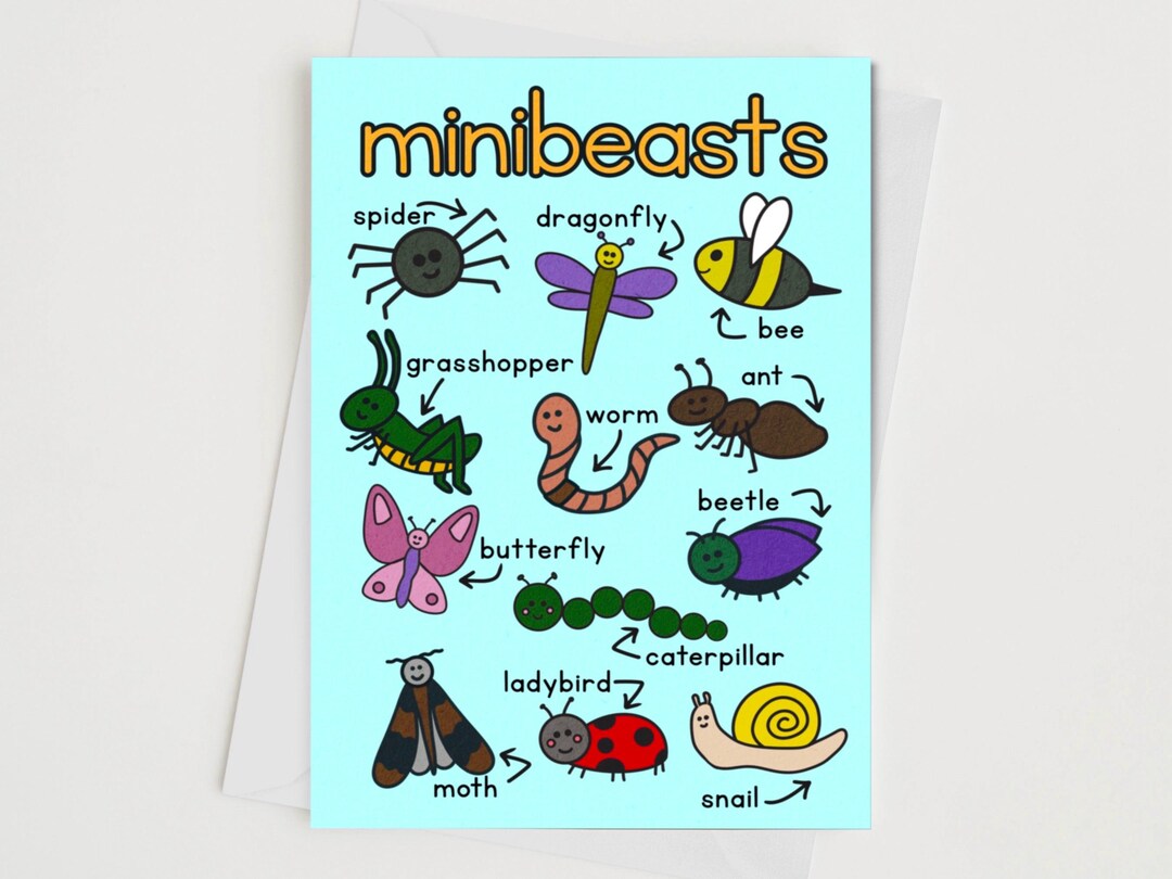 Mini Beast Card - Themed Card - Insect Lovers Card - Birthday Card ...