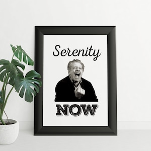 Serenity Now Seinfeld Cartel Descarga digital