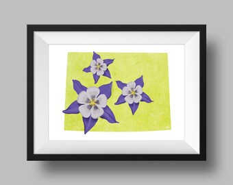 Colorado State Flower Columbine Art Digital Download, USA Geography and Maps, Gift idea, print at home, housewarming gift, colorado gift