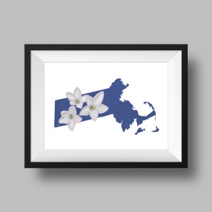 Könnte beinhalten: Eine blaue Silhouette des Bundesstaates Massachusetts mit drei weißen Blumen in der oberen linken Ecke.