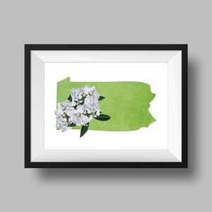 Pennsylvania State Flower Mountain Laurel Art Digital Descargar EE.UU. Geografía y mapas, idea de regalo, impresión en casa, regalo de inauguración de la casa, regalo de pa