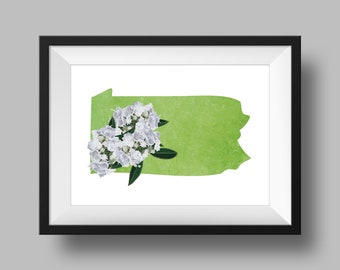 Pennsylvania State Flower Mountain Laurel Art Digital Download USA Geography and Maps, gift idea, print at home, housewarming gift, pa gift