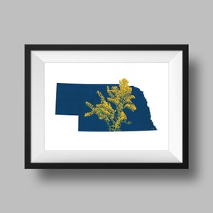 Nebraska State Flower Guldenroede Kunst Digitale Download USA Geografie en Kaarten, cadeau idee, print thuis, housewarming cadeau, Nebraska cadeau