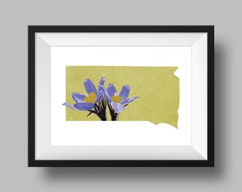 Flor del estado de Dakota del Sur Amarillo American Pasque Art Descarga digital Geografía y mapas de EE. UU., idea de regalo, impresión en casa, regalo de inauguración de la casa