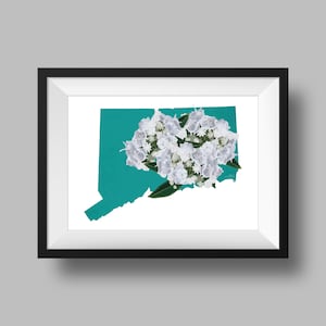 Peut inclure: Une silhouette de l'état du Connecticut en bleu turquoise avec des fleurs blanches en forme de bouquet.