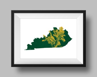 Kentucky State Flower Solidago Goldenrod Art Digital Download USA Geography and Maps, gift idea, print at home, housewarming gift, ky gift