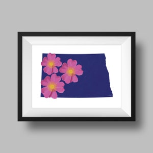 North Dakota State Flower Wild Prairie Rose Art Digital Download USA Geographie und Karten, Geschenkidee, Druck zu Hause, Einweihungsgeschenk