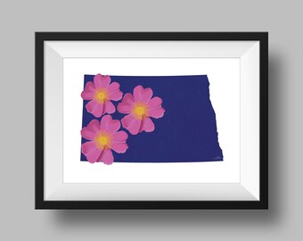 North Dakota State Flower Wild Prairie Rose Art Digital Download USA Geography and Maps, gift idea, print at home, housewarming gift
