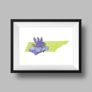 Tennessee State Flower Iris Art Digital Download, USA Geography and Maps, Gift idea, print at home, housewarming gift, tennessee gift