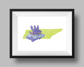 Tennessee State Flower Iris Art Descarga digital, Geografía y mapas de EE. UU., Idea de regalo, impresión en casa, regalo de inauguración de la casa, regalo de Tennessee