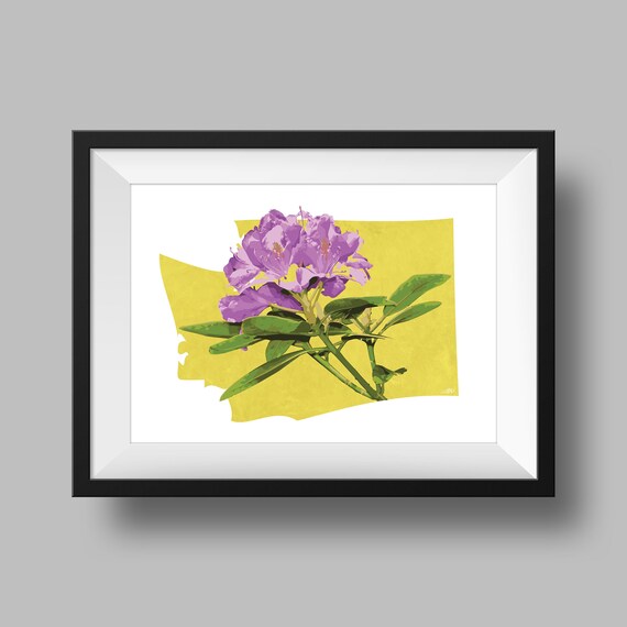 rhododendron t17 Dandy Man Color Wheel Rhododendron | Three Colors in One