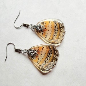 Real Lacewing Butterfly Wing Earrings