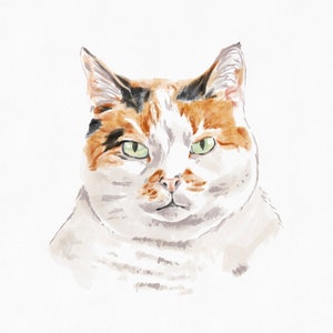 Cat portrait | Digital watercolour | Pet portrait | Bespoke illustration | Personalised gift